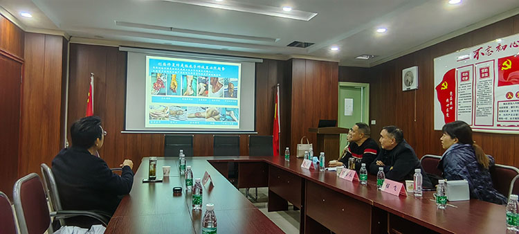 k8凯发官网(中国)天生赢家·一触即发