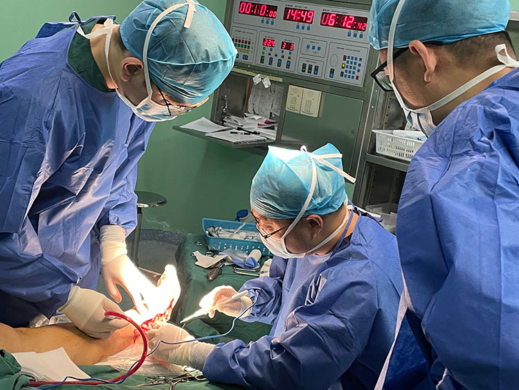 k8凯发官网(中国)天生赢家·一触即发