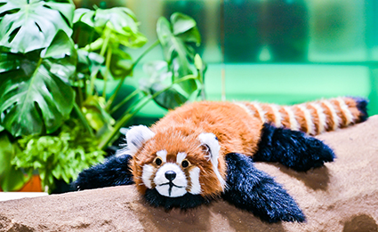 k8凯发官网(中国)天生赢家·一触即发