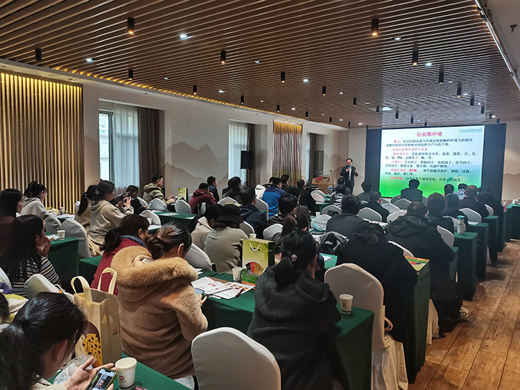 k8凯发官网(中国)天生赢家·一触即发