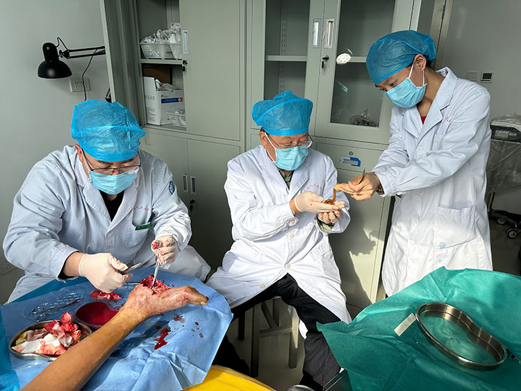 k8凯发官网(中国)天生赢家·一触即发