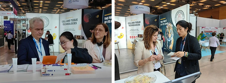 k8凯发官网(中国)天生赢家·一触即发