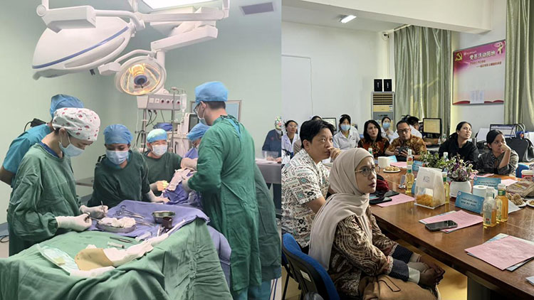 k8凯发官网(中国)天生赢家·一触即发