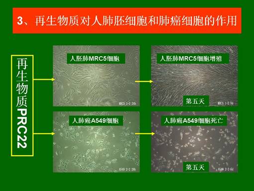 k8凯发官网(中国)天生赢家·一触即发