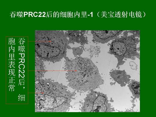 k8凯发官网(中国)天生赢家·一触即发