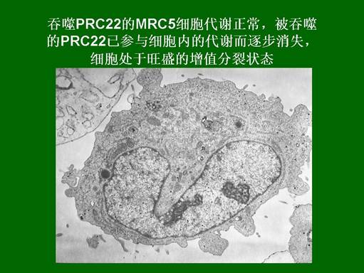 k8凯发官网(中国)天生赢家·一触即发