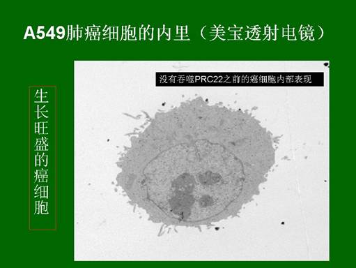 k8凯发官网(中国)天生赢家·一触即发