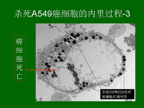 k8凯发官网(中国)天生赢家·一触即发