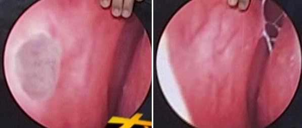 k8凯发官网(中国)天生赢家·一触即发