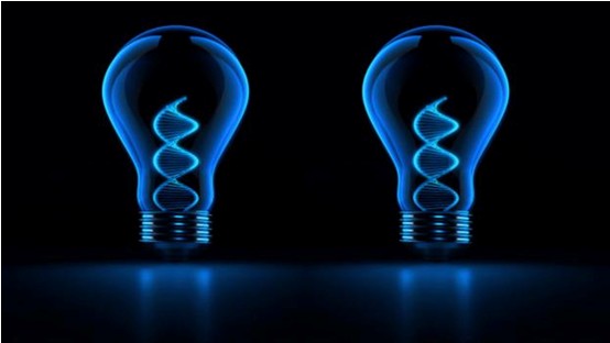 k8凯发官网(中国)天生赢家·一触即发