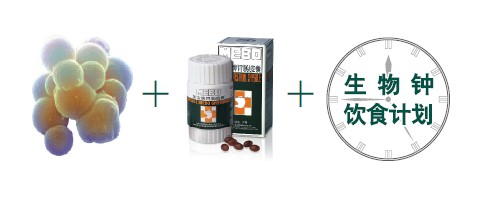 k8凯发官网(中国)天生赢家·一触即发