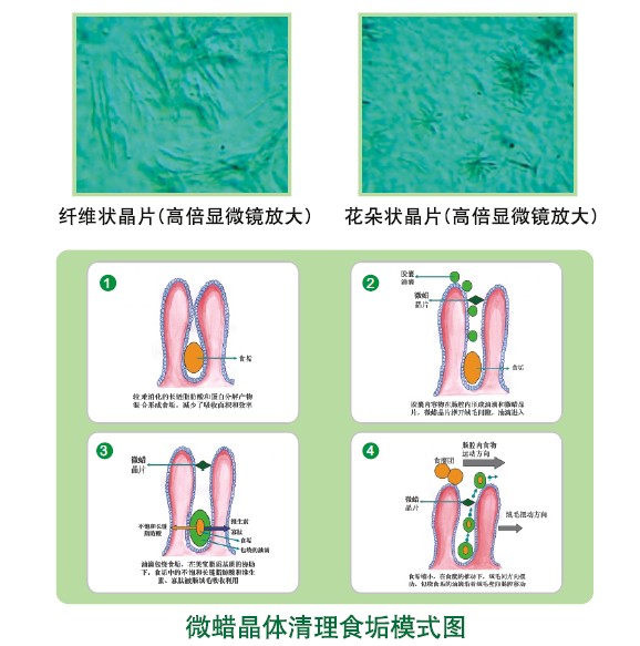 k8凯发官网(中国)天生赢家·一触即发