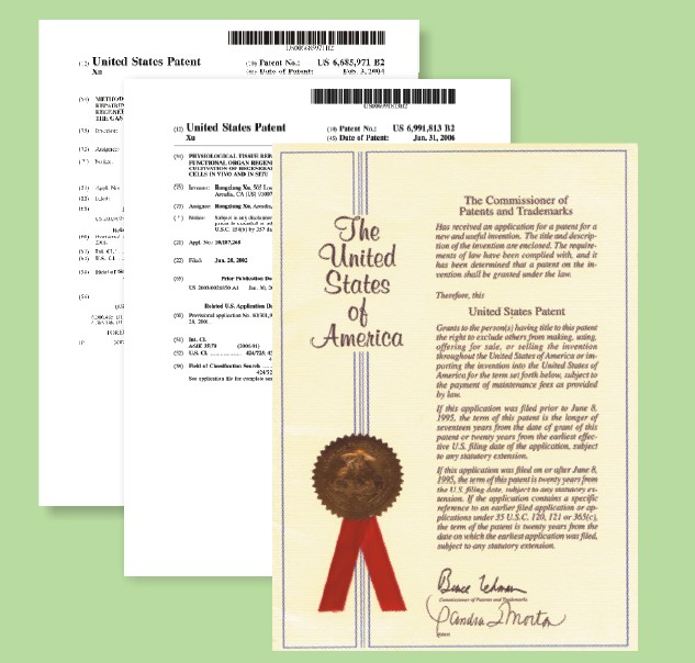 k8凯发官网(中国)天生赢家·一触即发