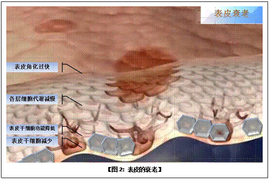 k8凯发官网(中国)天生赢家·一触即发