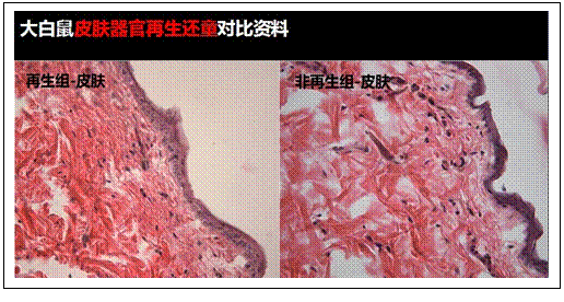 k8凯发官网(中国)天生赢家·一触即发
