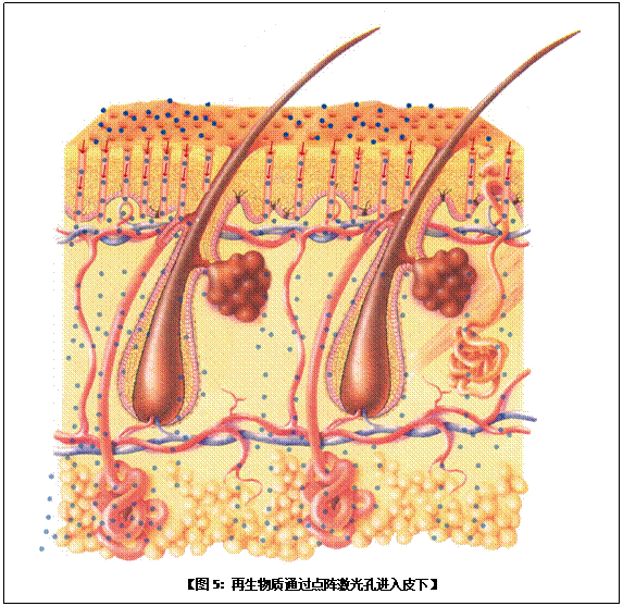 k8凯发官网(中国)天生赢家·一触即发