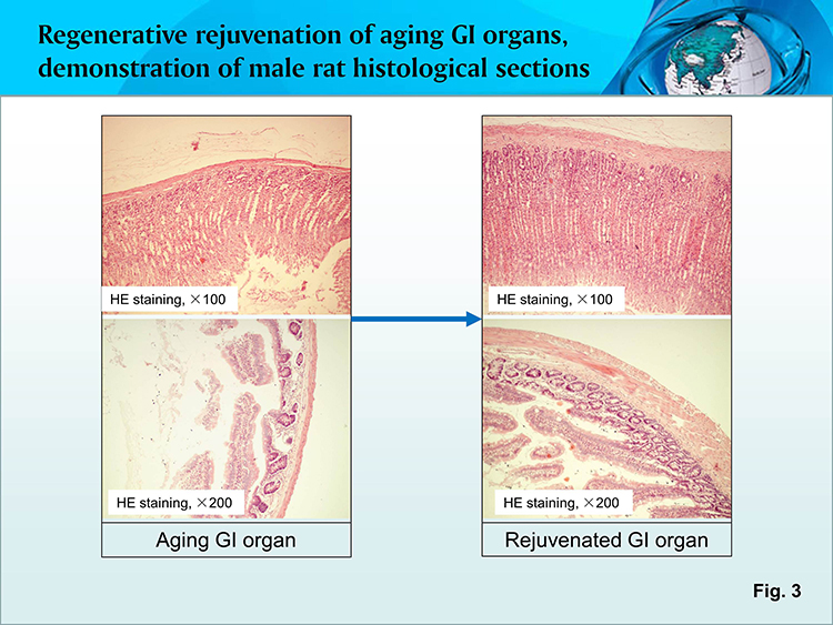 k8凯发官网(中国)天生赢家·一触即发