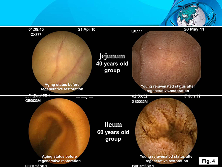 k8凯发官网(中国)天生赢家·一触即发