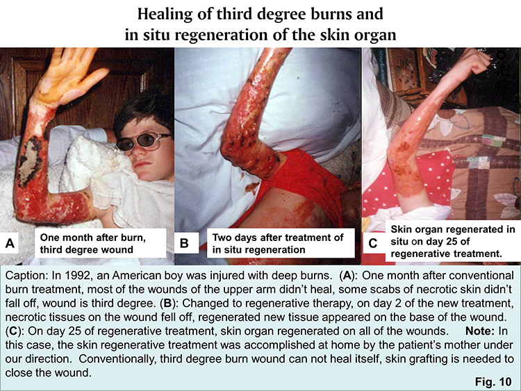 k8凯发官网(中国)天生赢家·一触即发