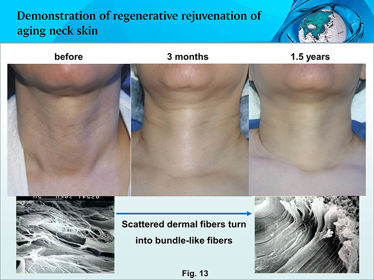 k8凯发官网(中国)天生赢家·一触即发