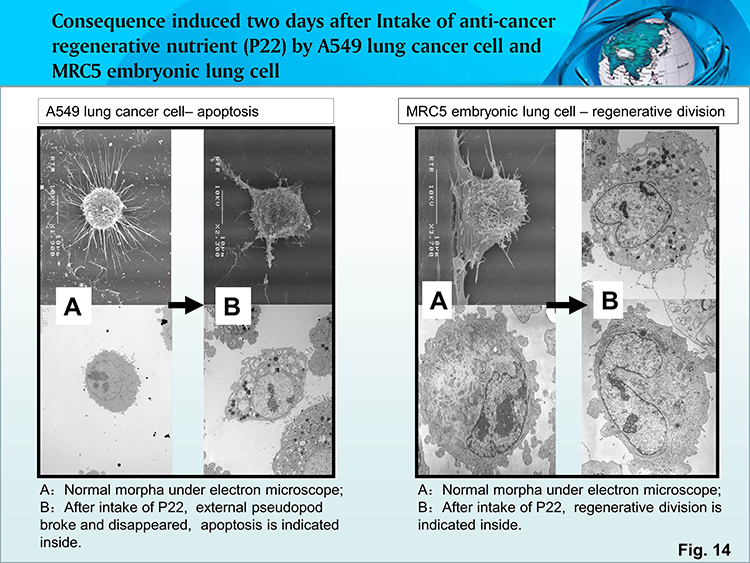k8凯发官网(中国)天生赢家·一触即发