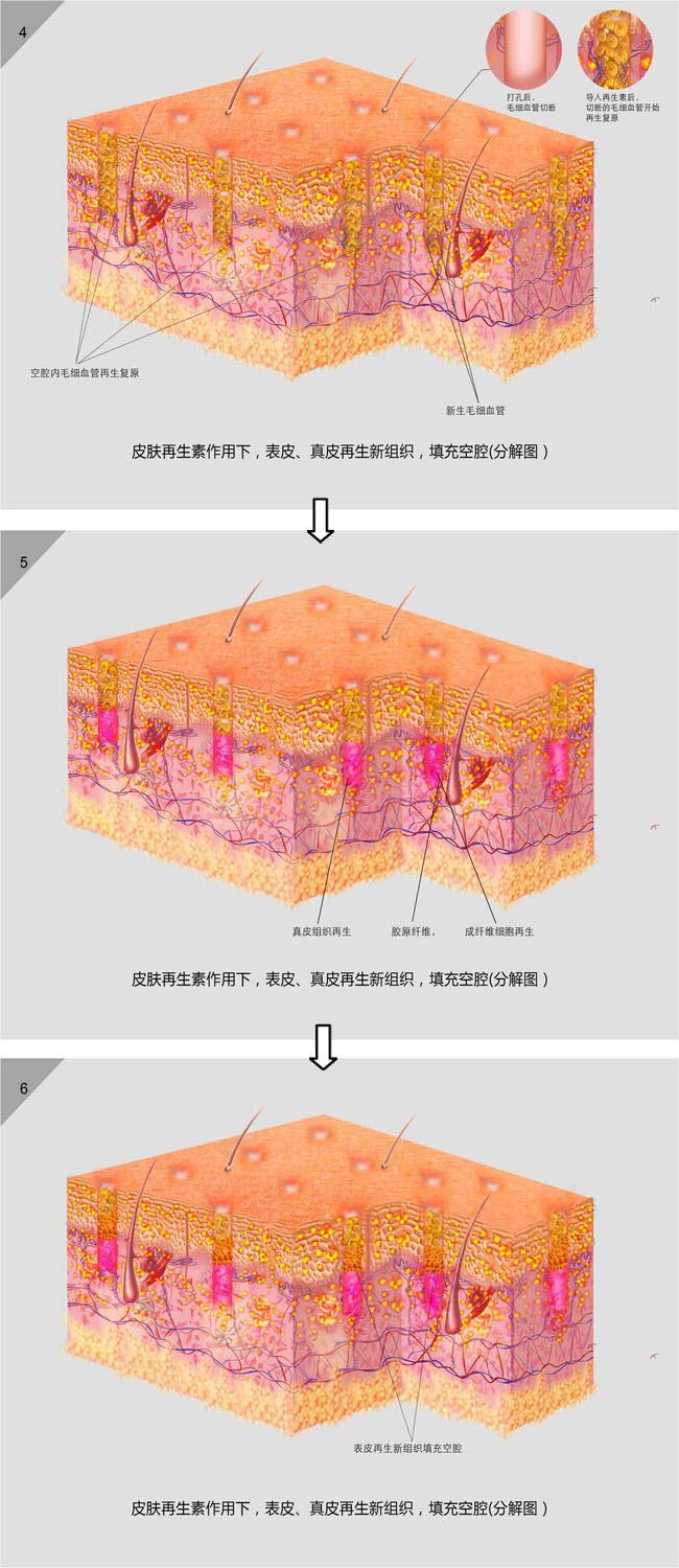 k8凯发官网(中国)天生赢家·一触即发