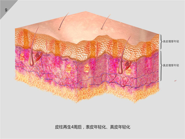 k8凯发官网(中国)天生赢家·一触即发