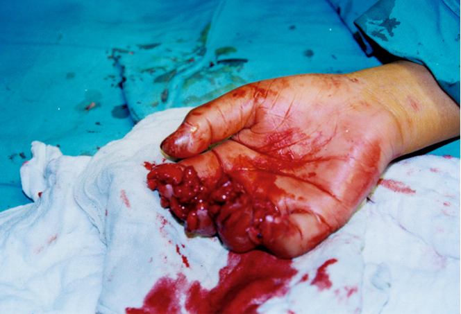 k8凯发官网(中国)天生赢家·一触即发