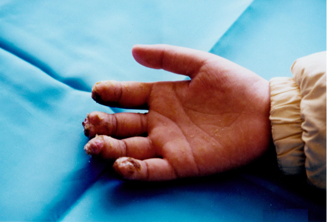 k8凯发官网(中国)天生赢家·一触即发