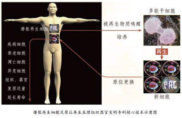 k8凯发官网(中国)天生赢家·一触即发