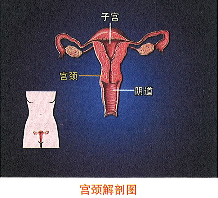 k8凯发官网(中国)天生赢家·一触即发