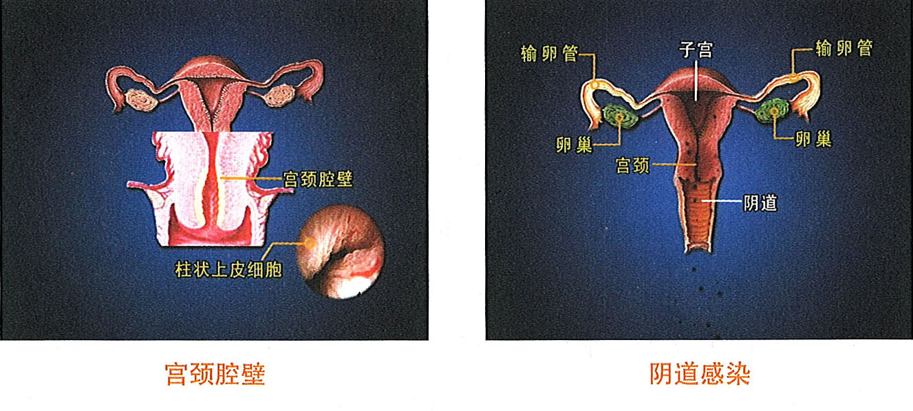 k8凯发官网(中国)天生赢家·一触即发