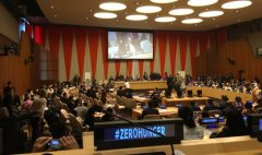 1-160930113031344-lp