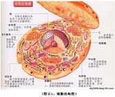 k8凯发官网(中国)天生赢家·一触即发